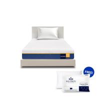 ราคา Solomon Mattress ที่นอนยางพารา รุ่น Sunshine 3.5ฟุต หนา8นิ้ว แถมหมอนหนุน 2 ใบ (MKP2018797)
