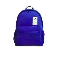 ราคา ADIDAS กระเป๋าเป้ผู้ใหญ่ Must Haves Seasonal สีฟ้า/น้ำเงิน - AD001AC166EKTH One Size (MKP2016622)