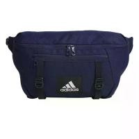 ราคา ADIDAS กระเป๋าสะพายข้างผู้ใหญ่ Essentials สีฟ้า/น้ำเงิน - AD001AC167EKTH One Size (GRMKPPR000179681)