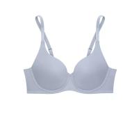 ราคา SABINA ฟองดี รุ่น Perfect Bra มีโครง รหัส SBD94110SL สีเทาอ่อน B34 (MKP1313643)