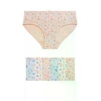 ราคา MARKS & SPENCER KIDS กางเกงในขาสั้นเด็กเล็กผู้หญิง Cotton with Stretch Floral 7 ชิ้น หลากสี 4.5 Years (CDS17451444)