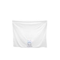 ราคา SANRIO ผ้าห่ม Cinnamoroll หลากสี (CDS23419223)