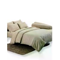 ราคา TULIP ชุดผ้าปูพร้อมผ้านวมเย็บติด 6 ฟุต 6 ชิ้น (คิงไซส์) รุ่น TULIP DELIGHT อัดลาย DL569 (MKP1828335)