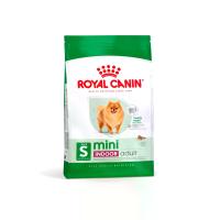 ราคา Royal Canin Mini Indoor Adult อาหารเม็ดสุนัขโต พันธุ์เล็ก เลี้ยงในบ้าน 500 g (MKP1642385)