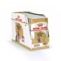 ราคา Pet N Me Royal Canin สำหรับสุนัขโต พันธุ์ยอร์คไชร์ เทอร์เรีย อายุ 10 เดือนขึ้นไป85 g (MKP2064435)