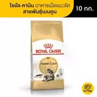 ราคา Pet N Me Royal Canin โรยัล คานิน แมวโตพันธุ์เมนคูน 10 kg (MKP2064563)