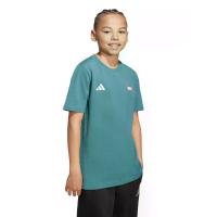 ราคา ADIDAS KIDS เสื้อยืดเด็กโตยูนิเซ็กส์ พิมพ์ลาย Marvel Spider-Man สีเจด 176 UK (CDS24120524)