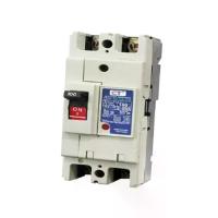ราคา CT ELECTRIC โมลเคสเซอร์กิตเบรกเกอร์ CT ELECTRIC รุ่น CTNF-63c 2P50A สีขาว (MKP1390448)