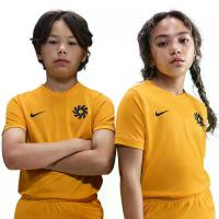 ราคา NIKE Erling Haaland Academy เสื้อฟุตบอลเด็ก สีเหลือง - NI083AP786ENTH L (MKP2076586)