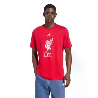 ราคา ADIDAS Liverpool FC DNA Graphic เสื้อยืดฟุตบอลผู้ชาย สีแดง - AD001AP306ENTH M (MKP2079128)