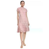 ราคา EXPRESSIONS EVENING ชุดเดรสผู้หญิงคอปีน กระโปรงทรงหางปลา S (GRCDS53725070552)