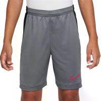 ราคา NIKE Dri-FIT Academy กางเกงฟุตบอลขาสั้นเด็ก สีเทา - NI083AP028EOTH L (GRMKPPR000188132)