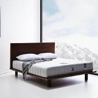 ราคา DUNLOPILLO [Pre-Order] ที่นอน รุ่น SENSE สีเทา ขนาด 6 ฟุต (MKP0857046)