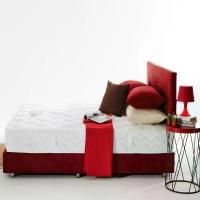 ราคา MIDAS [Pre-Order] ที่นอน รุ่น Spiritual สีขาว ขนาด 6 ฟุต (MKP0853467)