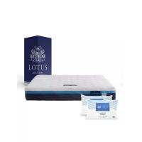 ราคา LOTUS [Pre-Order] ที่นอน รุ่น ASLEEP III ขนาด 6 ฟุต สีขาว (MKP1829304)