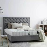 ราคา Dunlopillo ที่นอน 5 ฟุต รุ่น Ecstasy