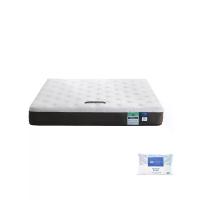 ราคา LOTUS [Pre-Order] ที่นอน รุ่น BRAXTON III ขนาด 3.5ฟุต สีขาว (MKP1589170)