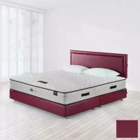 ราคา LOTUS [Pre-Order] ที่นอนรุ่น Fano พร้อมเตียง Marche - Microfiber 08 ขนาด 5 ฟุต สีม่วง (MKP1501865)