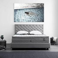 ราคา DUNLOPILLO [Pre-Order] ที่นอน รุ่น Coventry สีขาว ขนาด 6 ฟุต (MKP0914584)