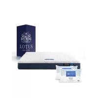 ราคา LOTUS [Pre-Order] ที่นอน รุ่น ASLEEP II ขนาด 5 ฟุต สีขาว (MKP1829312)