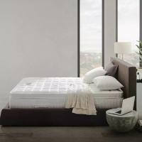 ราคา ELLE DECOR [Pre-Order] ที่นอน รุ่น Camille 3.5 ฟุต สีขาว (MKP1400977)