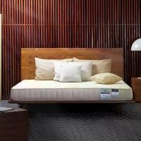 ราคา LOTUS [Pre-Order] ที่นอน รุ่น MICROLATEX-I สีขาว ขนาด 5 ฟุต (MKP0853408)