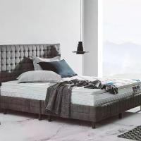 ราคา LOTUS [Pre-Order] ที่นอน รุ่น Oracle สีขาว ขนาด 6 ฟุต (MKP0853312)