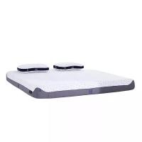 ราคา BEDGEAR [Pre-Order] ที่นอน BEDGEAR รุ่น M ขนาด 6 ฟุต สีม่วง (MKP1003680)