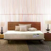 ราคา LOTUS [Pre-Order] ที่นอน รุ่น MICROLATEX-II ขนาด 5 ฟุต สีขาว (MKP0853410)