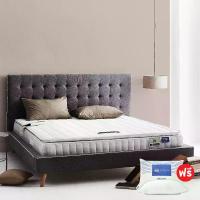 ราคา LOTUS [Pre-Order] ที่นอน รุ่น Northlight III ขนาด 3.5 ฟุต สีขาว (MKP0853404)