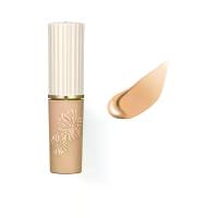 ราคา PAUL & JOE คอนซีลเลอร์ 11 กรัม (GRCDS20925040072)