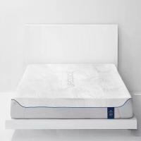 ราคา BEDGEAR [Pre-Order] ที่นอน BEDGEAR รุ่น S7 ขนาด 6 ฟุต สีขาว (MKP1003679)