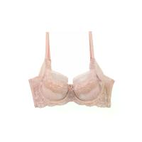 ราคา BSC Lingerie ชุดชั้นในผู้หญิงลูกไม้ มีโครง ซีทรู รุ่น BB1446BE - สีเบจ C80 (GRMKPPR000135022)