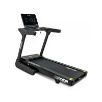 ราคา Irontec ลู่วิ่งไฟฟ้า รุ่น MIDNIGHT (สีดำ) (MKP1851298)
