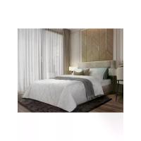 ราคา PASAYA ชุดผ้าปูที่นอน 3 ชิ้น รุ่น JAIPUR 650 เส้นด้าย King (GRCDS20924010091)