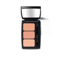 ราคา Bobbi Brown คอเรคเตอร์ Skin Touch-Up Palette 2 กรัม (GRCDS20524020091)
