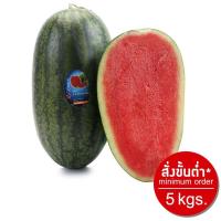 ราคา มายช้อยส์แตงโมตอร์ปิโด
