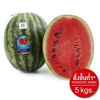 ราคา มายช้อยส์แตงโมซอนญ่า