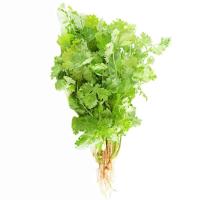 ราคา ท็อปส์ผักชี 30กรัม