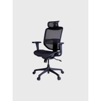 ราคา Ergonomic Chair ERGO-JOY-PRO (300050856)