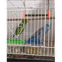 ราคา ฟอพัสพร้อมทำ (365412742)