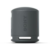 ราคา ลำโพง Sony SRS-XB100 Black (4548736146242)