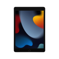 ราคา iPad 9 (2021) Wi-Fi + Cellular 64GB 10.2 inch Silver (194252521595)