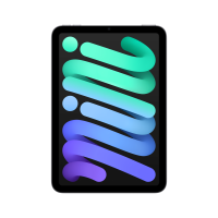 ราคา iPad mini 6 (2021) Wi-Fi 256GB Space Gray (194252528853)