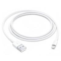ราคา Apple Lightning to USB Cable (1m) (195949087691)
