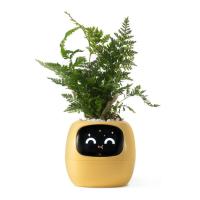 ราคา กระถางต้นไม้ PlantsIO Ivy Gen 2 Smart Planter (6976163920346)