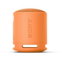 ราคา ลำโพง Sony SRS-XB100 Orange (4548736146273)