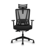 ราคา เก้าอี้เพื่อสุขภาพ รุ่น Enfold Cool Black | Ergonomic Chair - Bewell
