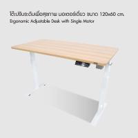 ราคา โต๊ะปรับระดับได้เพื่อสุขภาพ มอเตอร์เดี่ยว ขนาด 120 x 60 cm. | Ergonomic Adjustable Single Motor Desk - Bewell