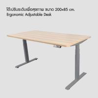 ราคา [รับประกัน 5 ปี] โต๊ะปรับระดับเพื่อสุขภาพ ขนาด200×85 cm. | Ergonomic Adjustable Desk - Bewell